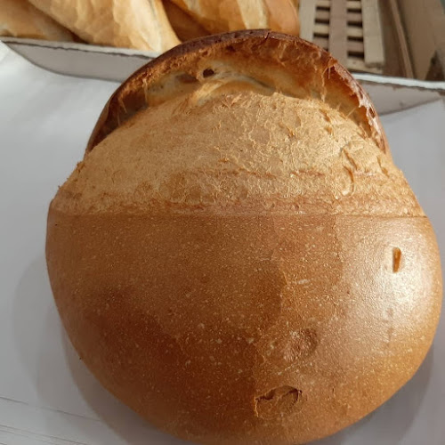 Comentarii opinii despre Suat Ekmekçilik