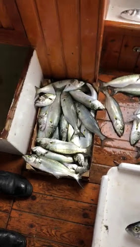 Yeşilköy, İstasyon Cd. No:43, 34149 Bakırköy/İstanbul