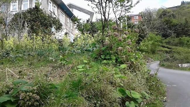 Civra Balik Restaurant - Sürmene