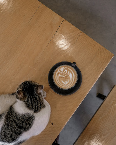 Comentarii opinii despre Depo Coffee Roasting Kavacık