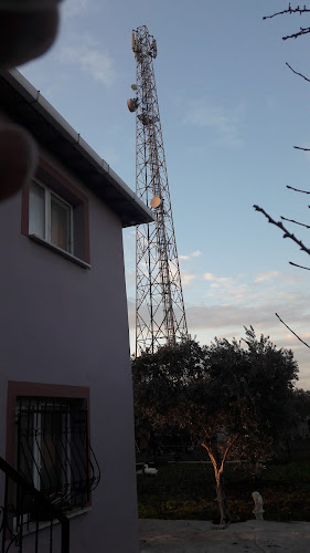 Elbir Bahçe - Akhisar