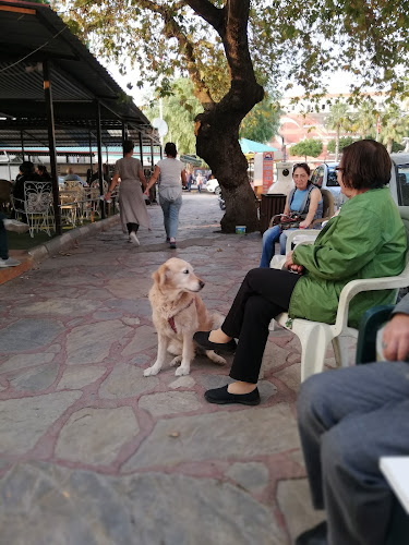 Salimbey, Atatürk Cd., 35980 Dikili/İzmir