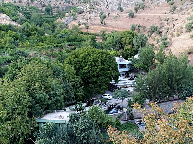 Taşlı köyü Alabalık Tesisi - Gastronomi ve konaklama