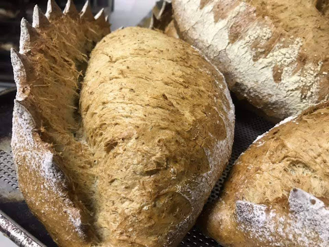 Opinii despre Suat Ekmekçilik în Adana - Gastronomi ve konaklama