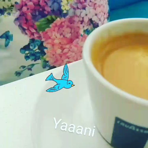 Fevzipaşa - Vehbibey, Cumhuriyet Myd. No:6, 10400 Ayvalık/Balıkesir