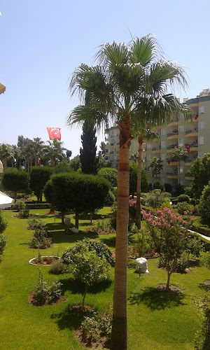 Topraklar Fırını - Erdemli