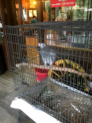 Comentarii opinii despre DeğirmenÇayır Restaurant