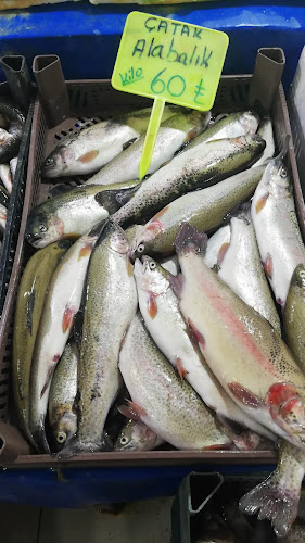 Opinii despre Van Gölü Balıkçılık în İpekyolu - Gastronomi ve konaklama