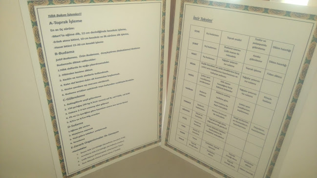 Birgi Karaca Hanım Konağı