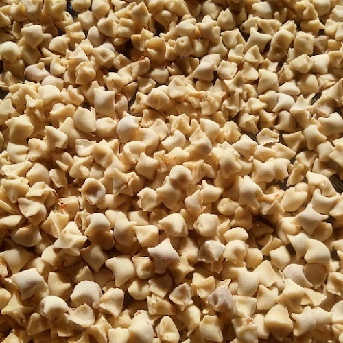 Hacerin Ellerinden - Anamur