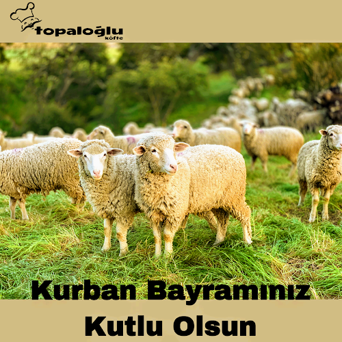 Comentarii opinii despre Topaloğlu Köfte Salonu