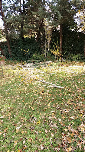 Ömerin Yeri Restoran - Gastronomi ve konaklama