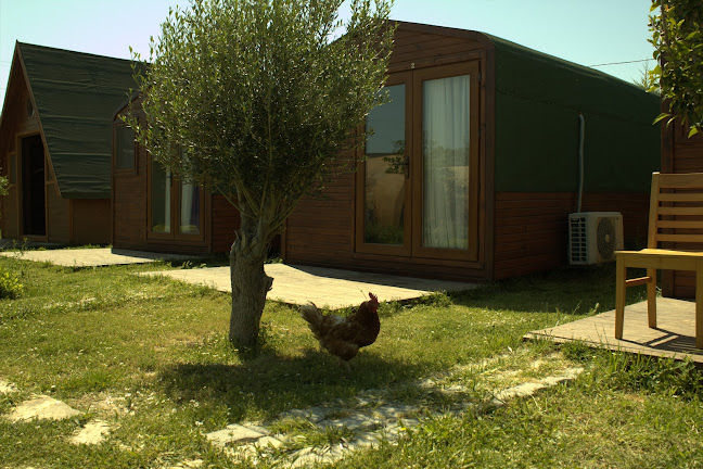 Comentarii opinii despre Metis Bungalov & Restaurant