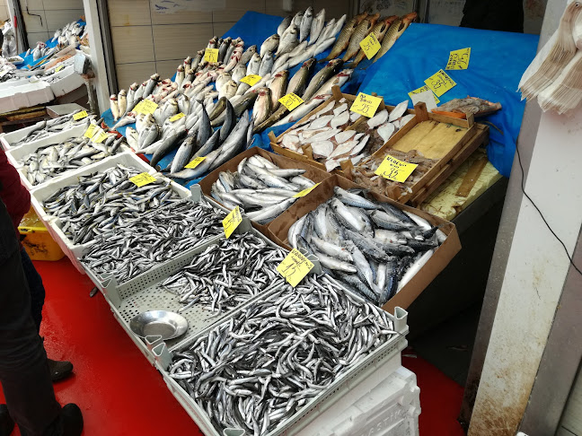 livar balık evi - Gastronomi ve konaklama