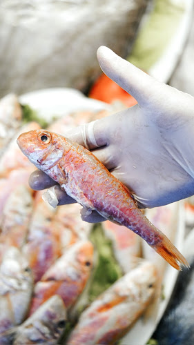 Opinii despre Dragos Balık în İstanbul - Gastronomi ve konaklama