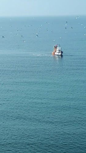 Yeni Mahalle, İmaret Cd. No:13 D:2, 34290 Küçükçekmece/İstanbul