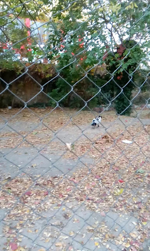 Kristal Fırında Et Lokantası