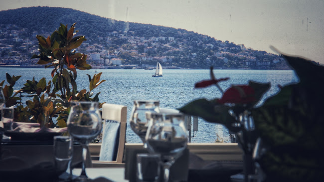 Dragos Balık - Gastronomi ve konaklama