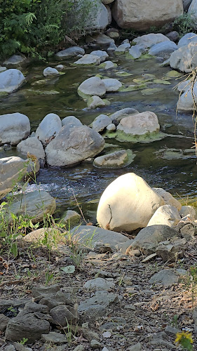 Asd - Gastronomi ve konaklama