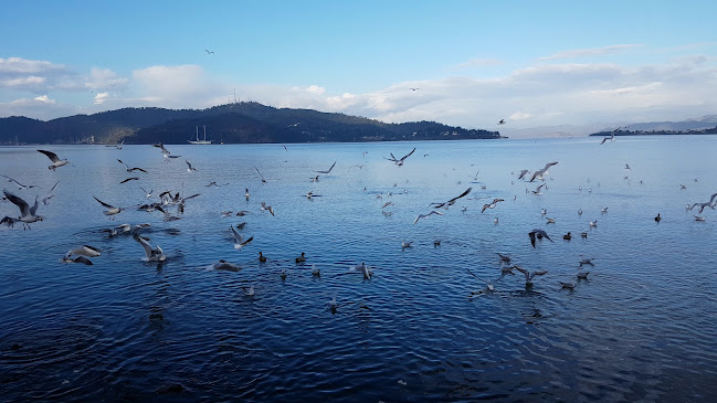 Babataşı, Cahit Gündüz Cd. No:11, 48300 Fethiye/Muğla