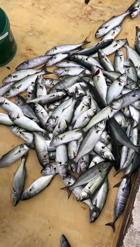 Yeşilköy BIZIM BALIKÇI RESTAURANT - Bakırköy