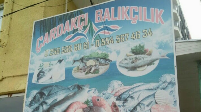 Çardakçı Balıkçılık