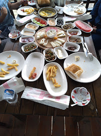 LOTUS AT ÇİFTLİĞİ