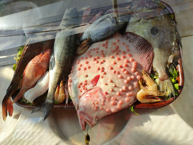 Sur Balık Restoran Sarayburnu - İstanbul