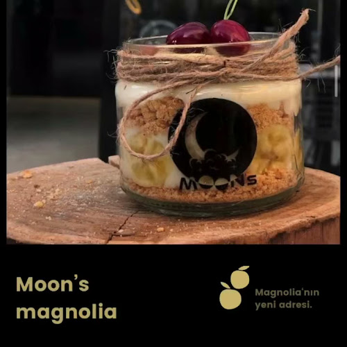 Comentarii opinii despre Moon's