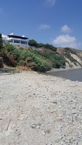 Alexsander's Balık Evi - Gastronomi ve konaklama