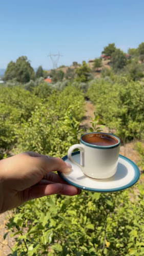 Havuz Başı Kahvaltı Gözleme - Dalaman