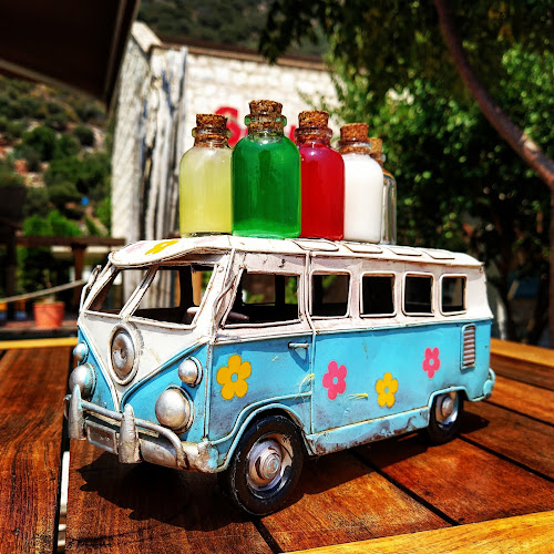 Comentarii opinii despre The Shotlar Terminali