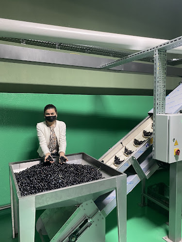 Efekızı zeytin ve zeytinyağı - Milas