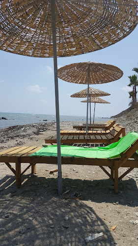 Alexsander's Balık Evi