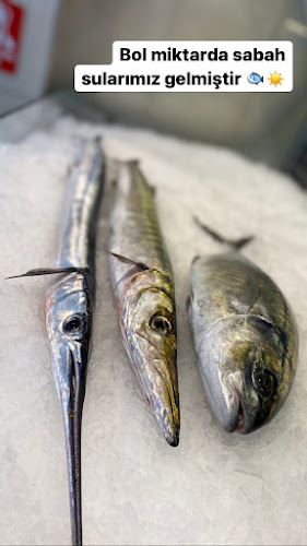 KALKAN BALIKÇILIK (KAŞ ŞUBESİ) SİNCE99 - Kaş