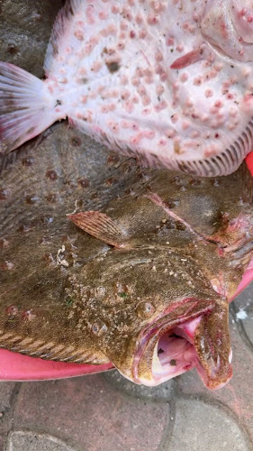 Giresun sanayicileri ve iş insanlari derneği lokali - Gastronomi ve konaklama