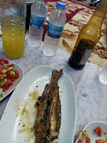 Opinii despre Taşlı köyü Alabalık Tesisi în Taşlı/Şirvan - Gastronomi ve konaklama
