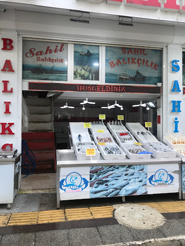 Sahil Balikçılık - Osmancık