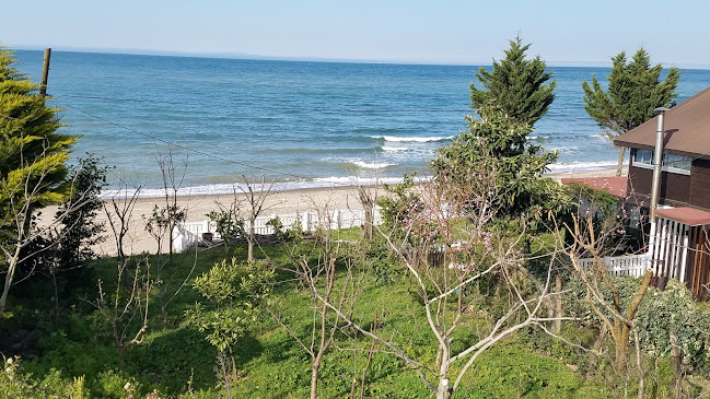 Balıkçı Restorant - Gastronomi ve konaklama