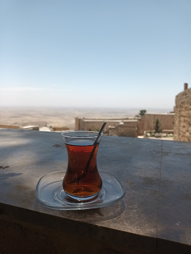 Comentarii opinii despre TAUS