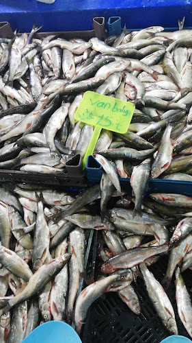 Bahçıvan, Zübeyde Hanım Cd. No:3, 65130 İpekyolu/Van