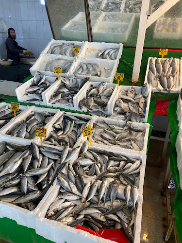 Van Gölü Balıkçılık - Gastronomi ve konaklama