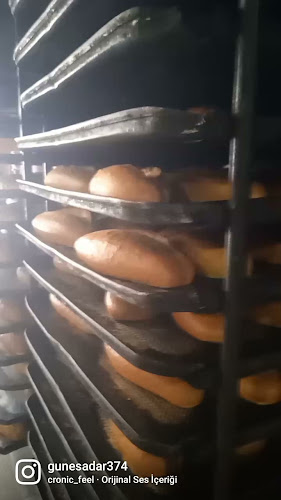 Seyit Fehim Arvasi, Doğu Cd. No:278, 65100 Van Merkez/Van