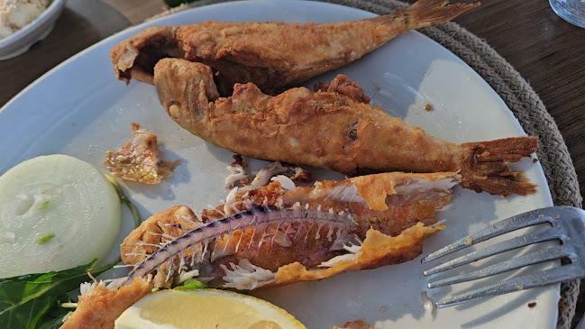 Opinii despre Zeytin Cafe & Restaurant Urla în Urla - Gastronomi ve konaklama