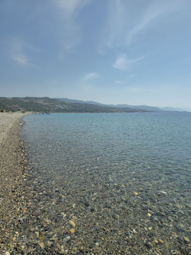 Metis Bungalov & Restaurant - Gastronomi ve konaklama