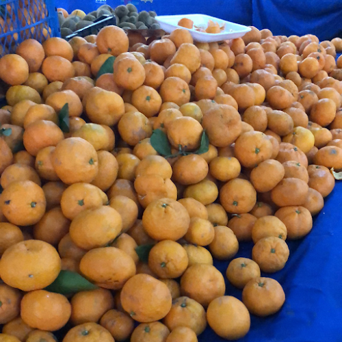 Feriköy Bomonti Şişli Organik Pazarı - Şişli