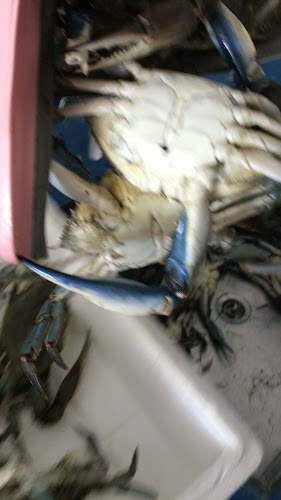 Opinii despre Murat Balıkçılık Side în Side Bld/Manavgat - Gastronomi ve konaklama