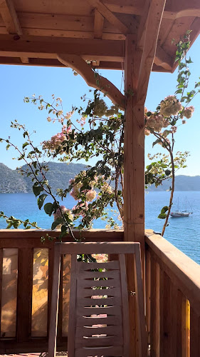 The I Am Here Cafe - Gastronomi ve konaklama