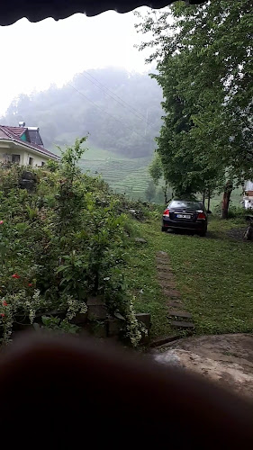 Kurşunoğlu Gıda - Gastronomi ve konaklama