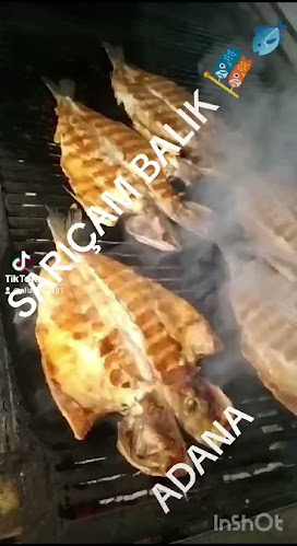 Comentarii opinii despre sarıçam balık evi salonu 01